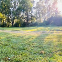 Photo by Louise Le Roux