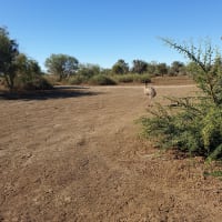 Photo by CATHERINE H.