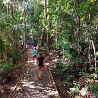 Photo by My Rig Adventures