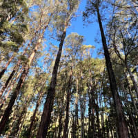 Photo by Travel and Adventure Australia