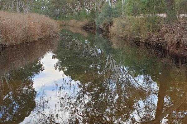 Photo by Kristine S.