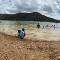 Photo by Julie Anne Mitchell