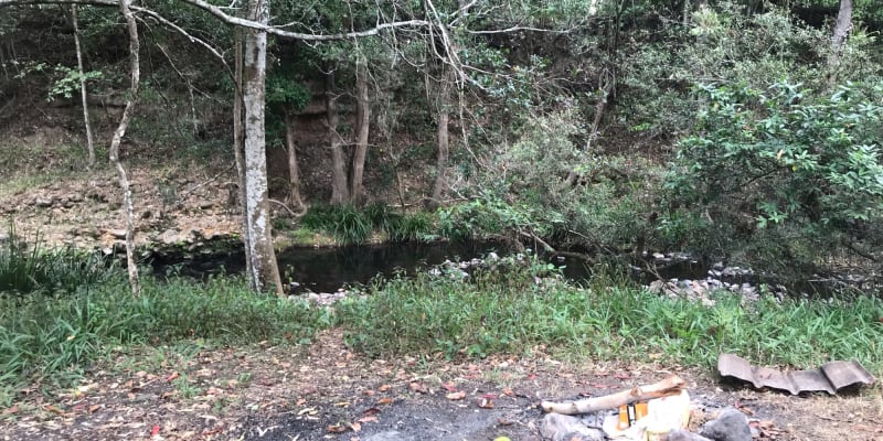 Photo by Nickelle H.