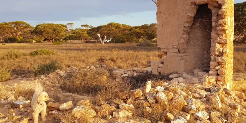 Photo by Donna Alston Hobbs