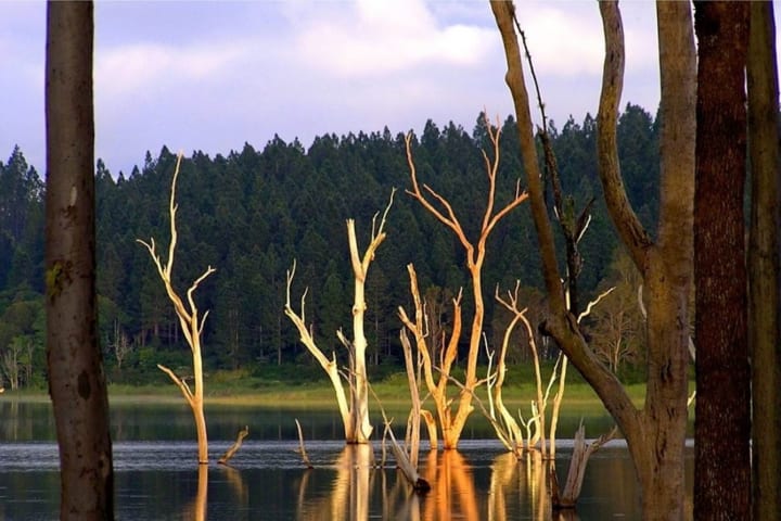 Photo by Genazzano R.