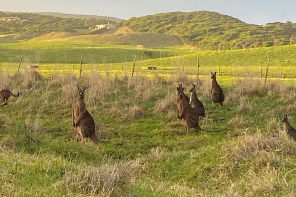 Photo by Elizabeth L.