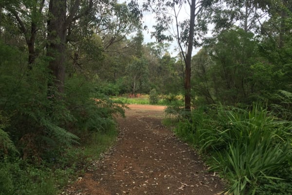 Photo by Milotte Elina Ekermann