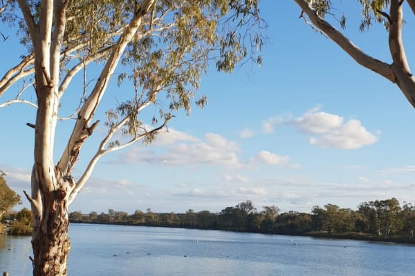 Photo by Michelle D.