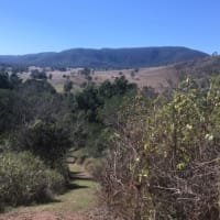 Photo by Madeleine K.