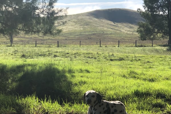 Photo by James Douglas Mitchell