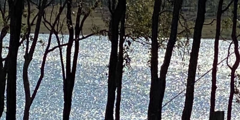 Photo by Cristina B.