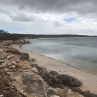 Photo by Michelle C.