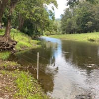 Photo by Phillip  Styles