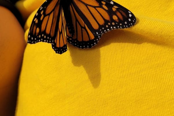 Photo by Sanchia Keeleigh Gray