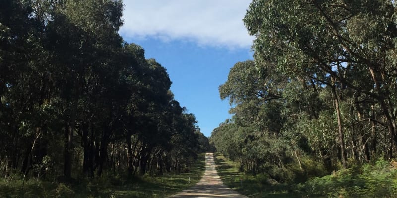 Photo by Elizabeth O.