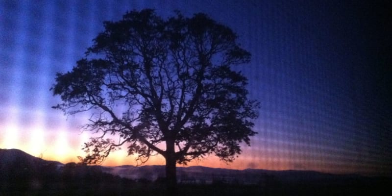 Photo by Belbrooke Pty Ltd as trustee for the Belbrooke Administration Trust