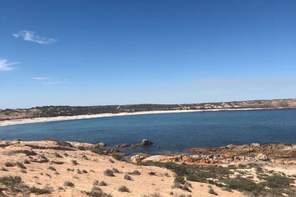 Photo by Philippa D.