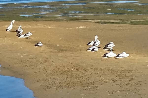 Photo by Colin van den Hoff