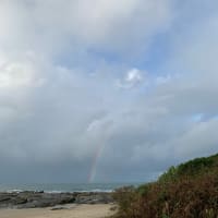 Photo by Mercedes W.