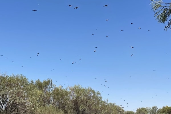 Photo by Happy Hour Hunters