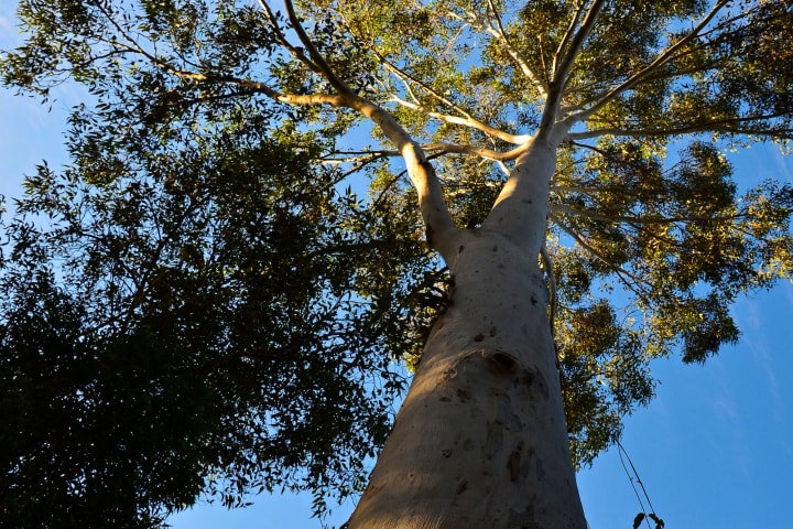 Photo by Hidden Creek Campsite