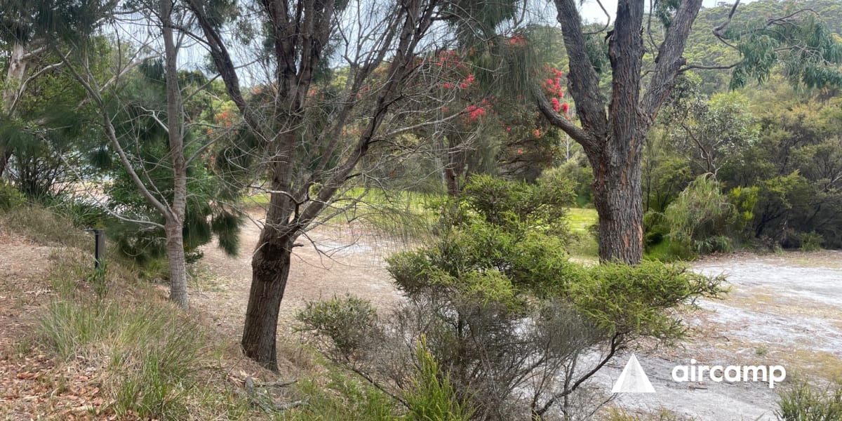 Valley Of The Giants Ecopark