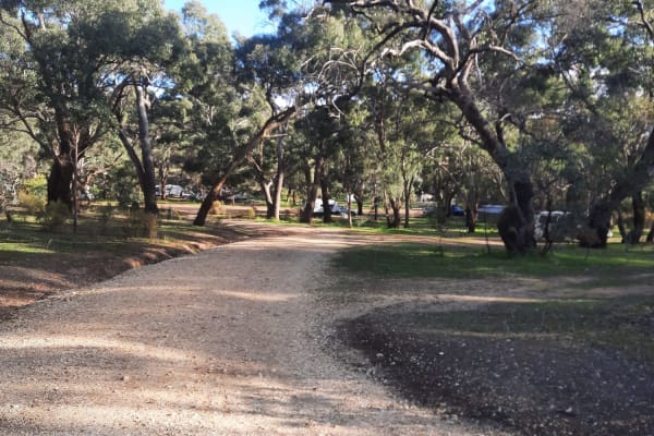 Photo by Lea-ann Mc Arthur