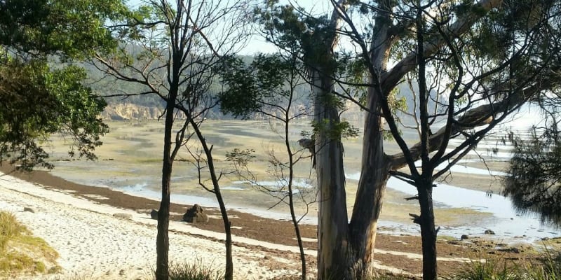 Photo of Lime Bay Campground