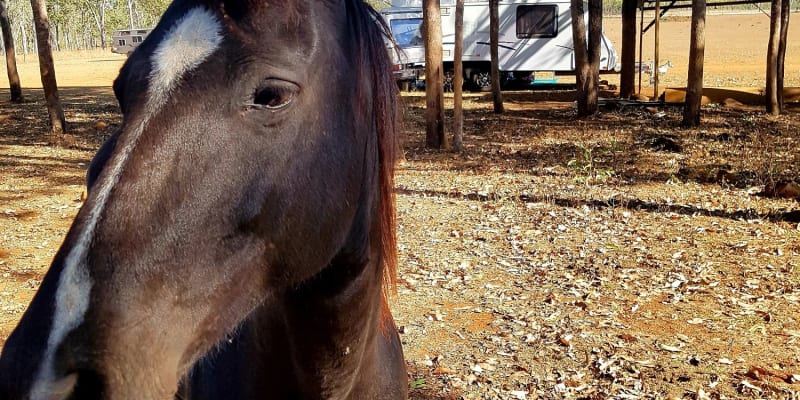 Photo by My Rig Adventures