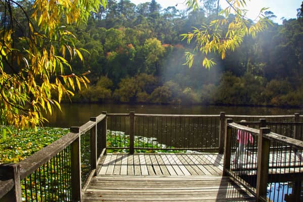 Photo by Jaspreet S.