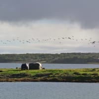 Photo by Brucethegoose