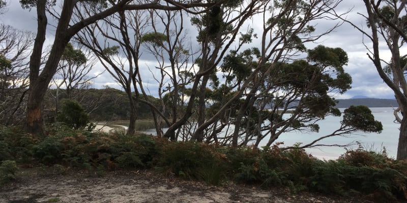 Photo by Francois K.