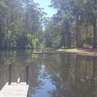 Photo by Stallion2454