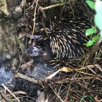 Photo by [deleted user]