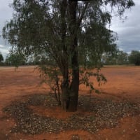 Photo by Tse Hsuan Chin