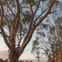 Photo by Michelle D.