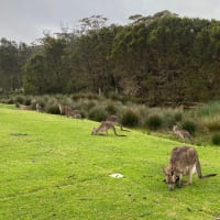 Photo by Krishantha E.