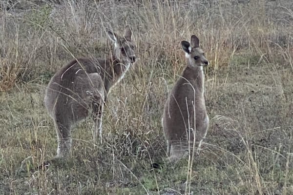 Photo by Cristina B.