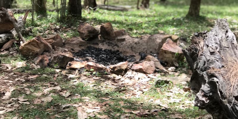 Photo by Melita St Ledger