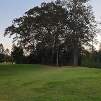 Photo by Rhonda Jenner Symes