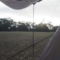 Photo by Kristine B.