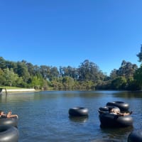 Photo by Ranjeet Singh Gill