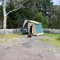 Photo by Samantha k.