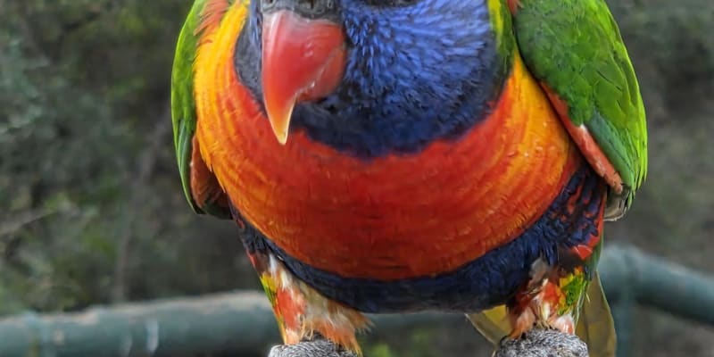 Photo by Erwin Van Den Bosch