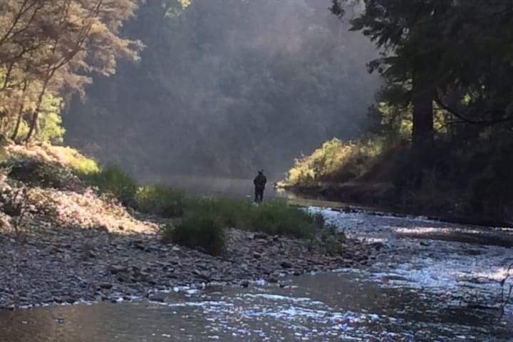 Photo by Mary-anne N.