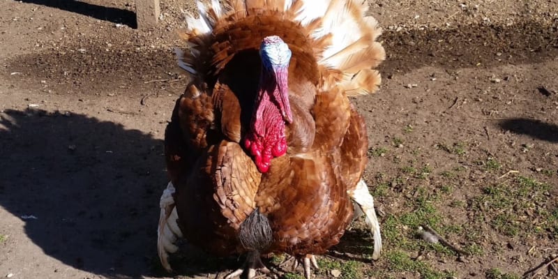 Photo by Jenni-Dawn B.