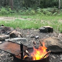 Photo by Samantha C.