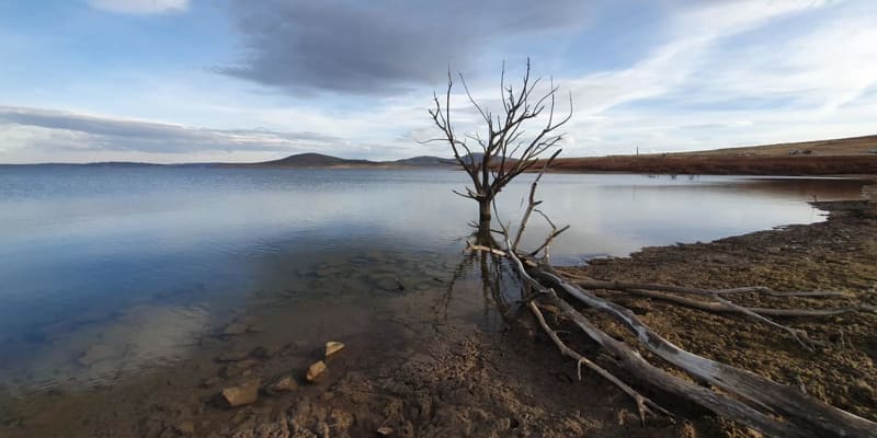 Photo by Eddy & Kathy Tiemens