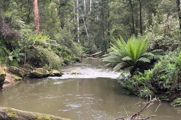 Photo by theotwaypanther