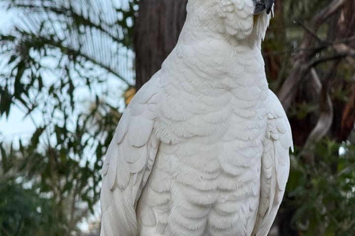 Photo by Erwin Van Den Bosch